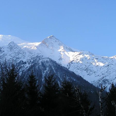 Chalet La Renardiere Villa Chamonix Exterior photo