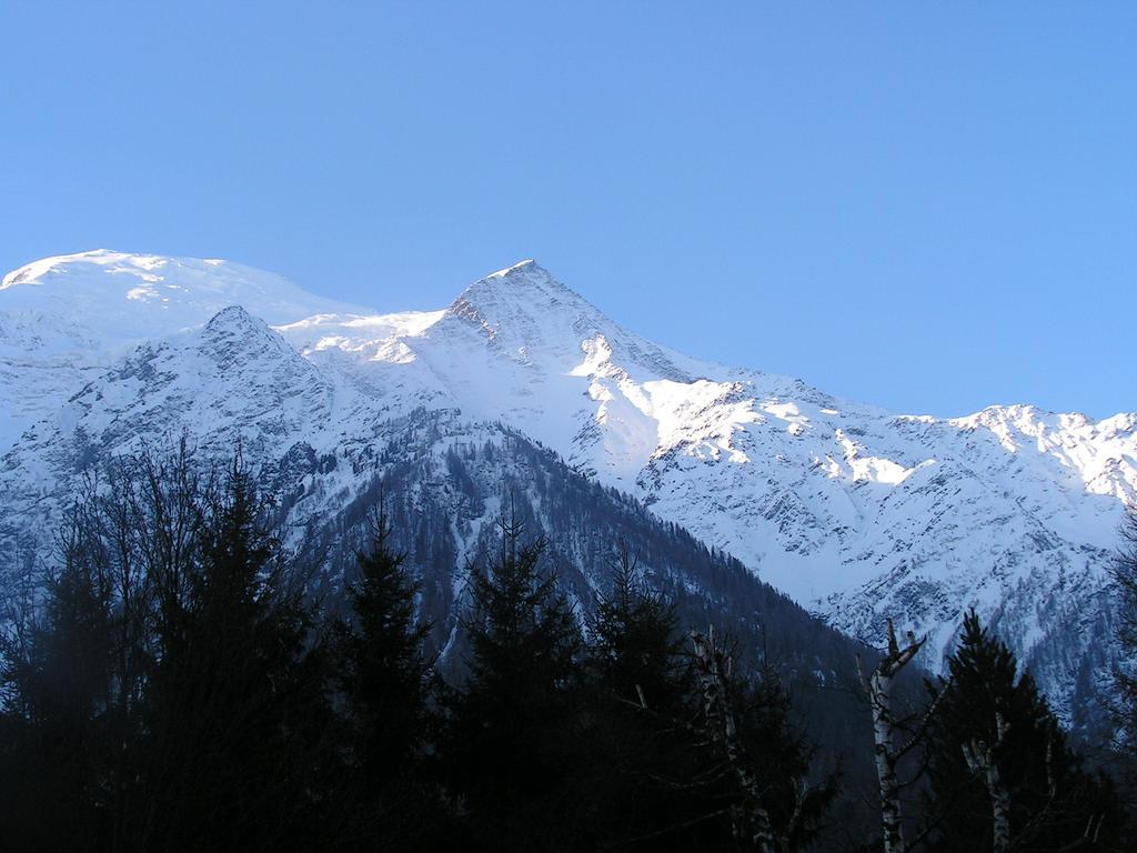 Chalet La Renardiere Villa Chamonix Exterior photo